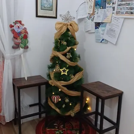 Rega House 3*