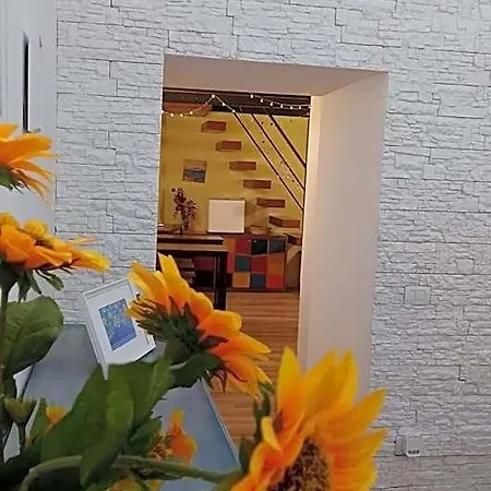 Rega House Nocleg ze śniadaniem