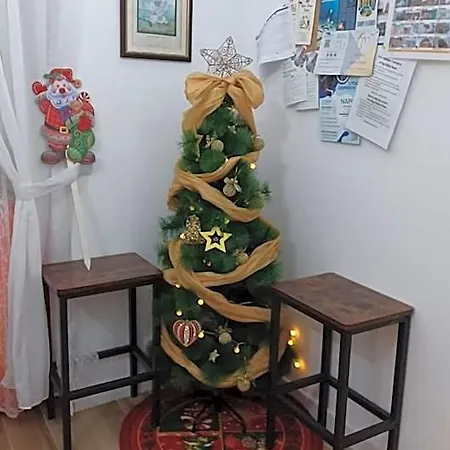 Rega House 3*