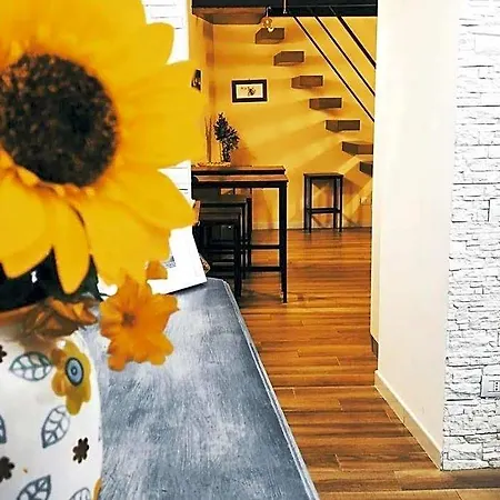 Rega House