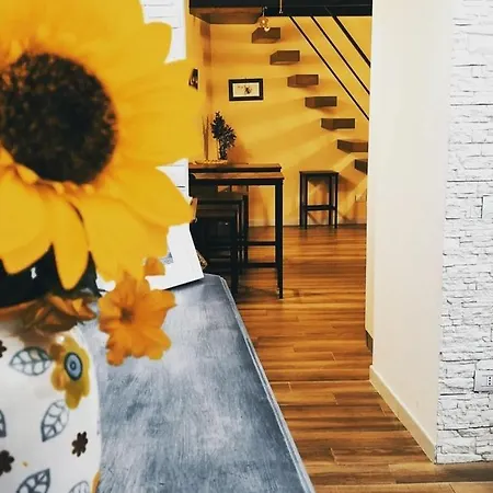 Rega House Bed & Breakfast 3*